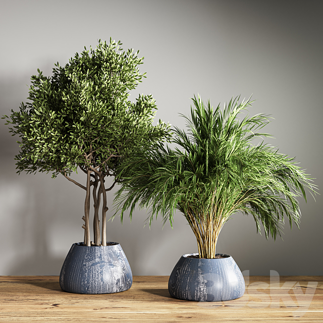 indoor plant stand 18 3DSMax File - thumbnail 3