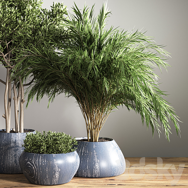 indoor plant stand 18 3DSMax File - thumbnail 4