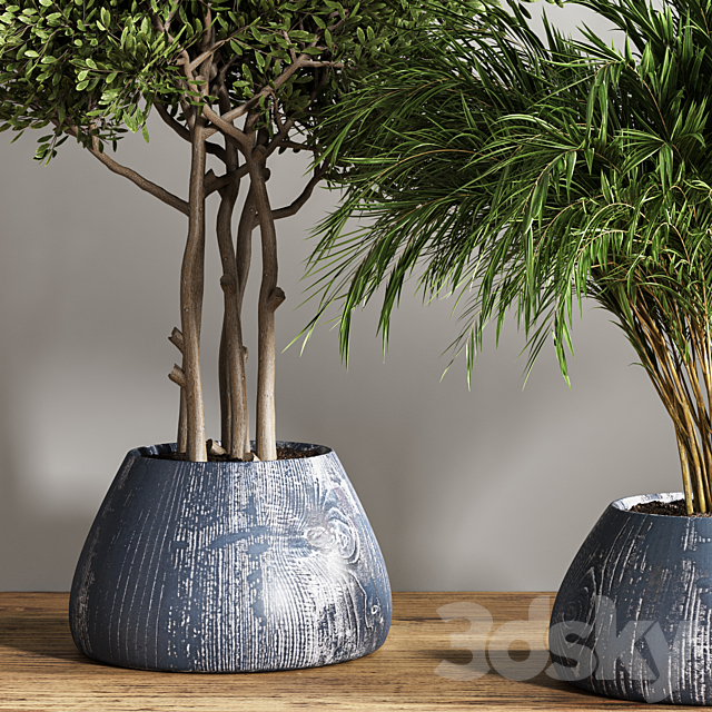 indoor plant stand 18 3DSMax File - thumbnail 5