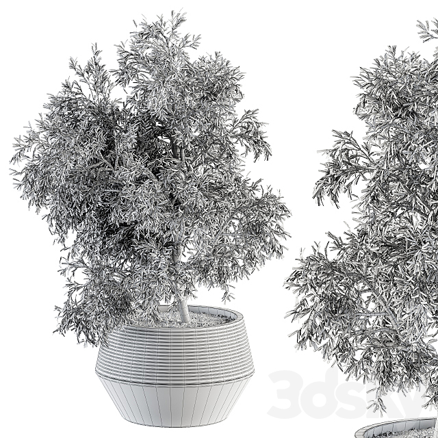 3dsky Free Download