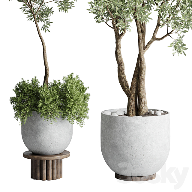 Collection Outdoor Indoor plant 52 concrete dirt vase pot tree 3DSMax File - thumbnail 2