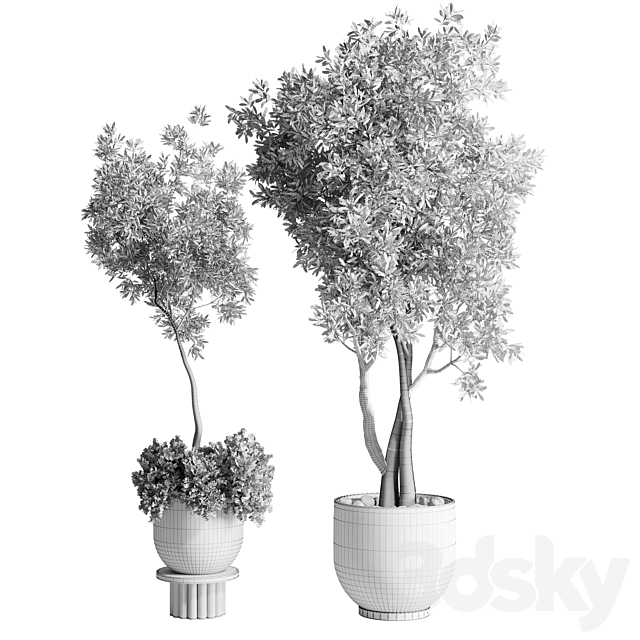 Collection Outdoor Indoor plant 52 concrete dirt vase pot tree 3DSMax File - thumbnail 5