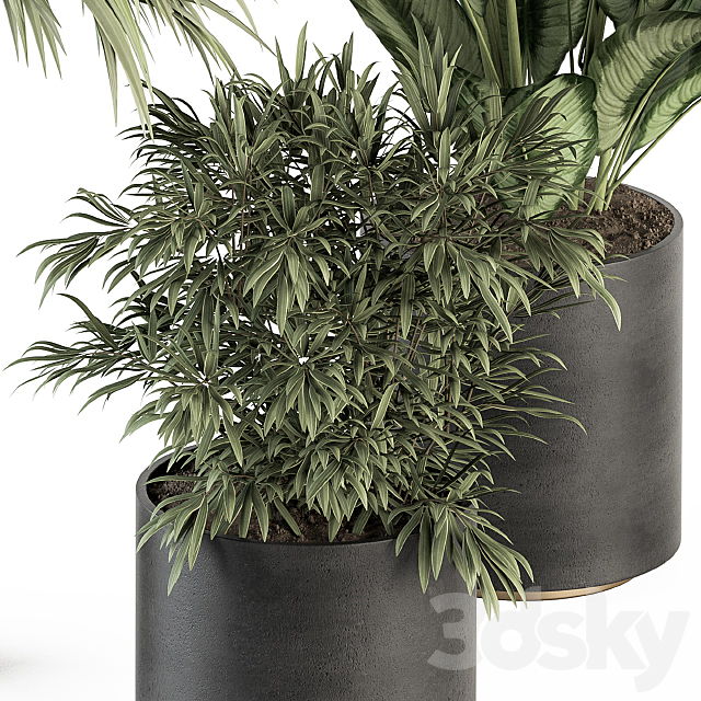 indoor Plant Set 256 – Plant Set in pot 3DSMax File - thumbnail 2