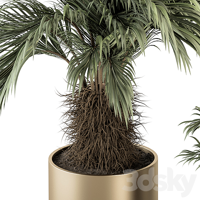 indoor Plant Set 256 – Plant Set in pot 3DSMax File - thumbnail 3