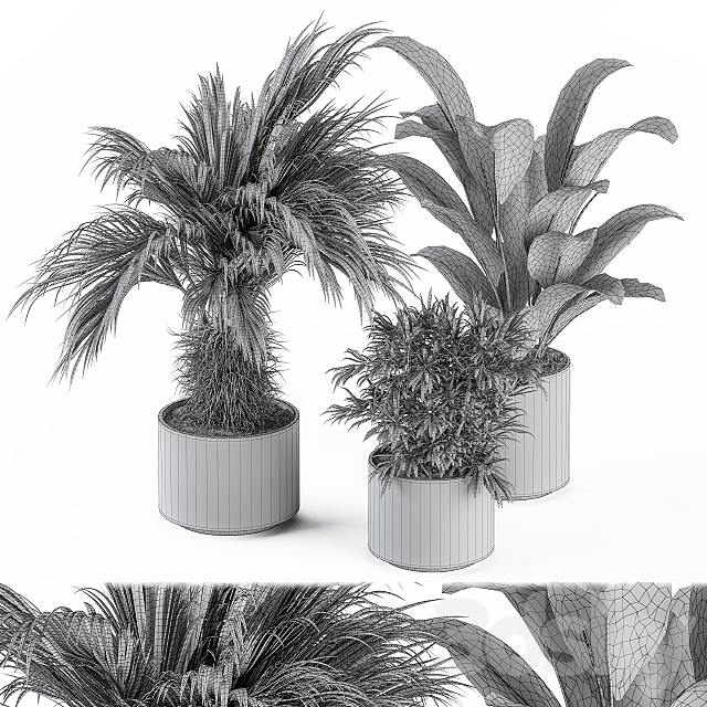 indoor Plant Set 256 – Plant Set in pot 3DSMax File - thumbnail 6