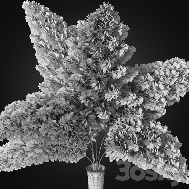Bouquet of pink pampas 3d
