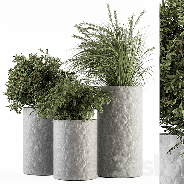 Outdoor Plant Set 292 – Plant Set in Concrete Pot 3DSMax File - thumbnail 1