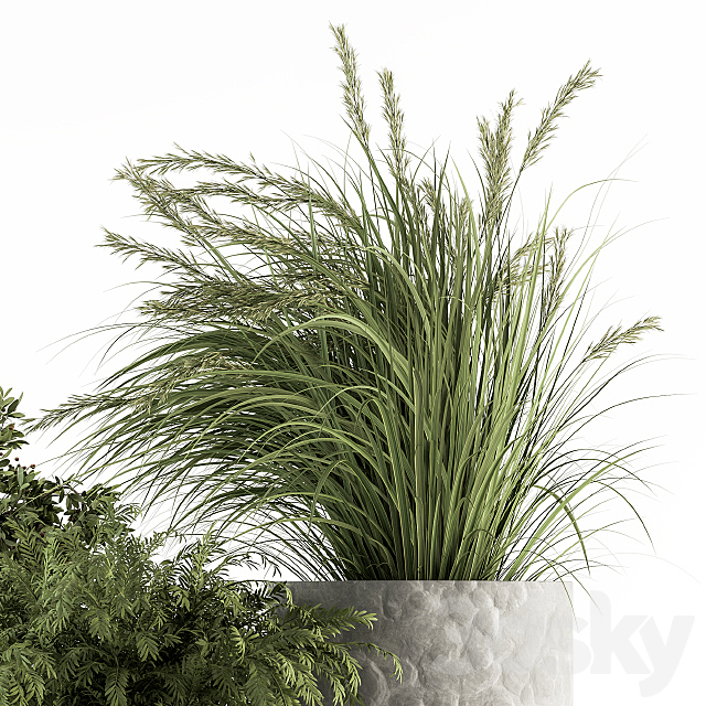 Outdoor Plant Set 292 – Plant Set in Concrete Pot 3DSMax File - thumbnail 2