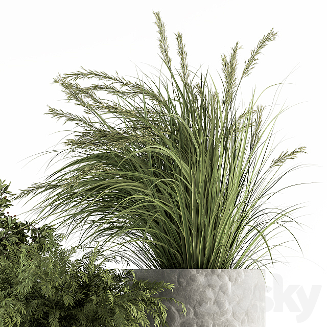 Outdoor Plant Set 292 - Plant Set in Concrete Pot 3d