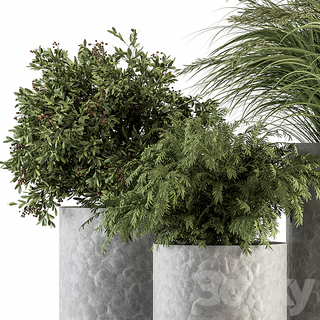 Outdoor Plant Set 292 – Plant Set in Concrete Pot 3DSMax File - thumbnail 3
