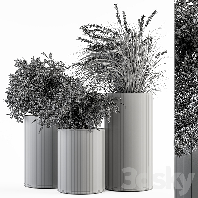 Outdoor Plant Set 292 – Plant Set in Concrete Pot 3DSMax File - thumbnail 4