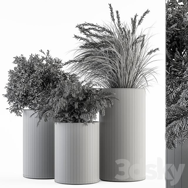 Outdoor Plant Set 292 - Plant Set in Concrete Pot 3dsky