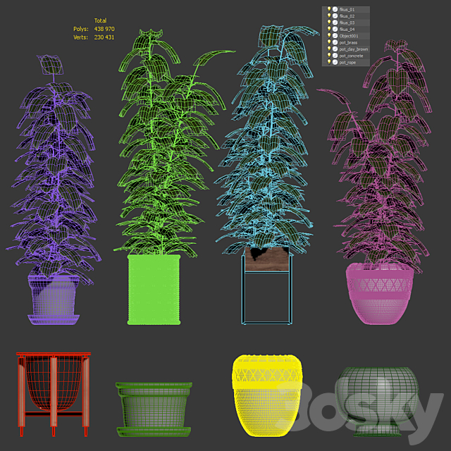 Ficuses in pots 3dsky