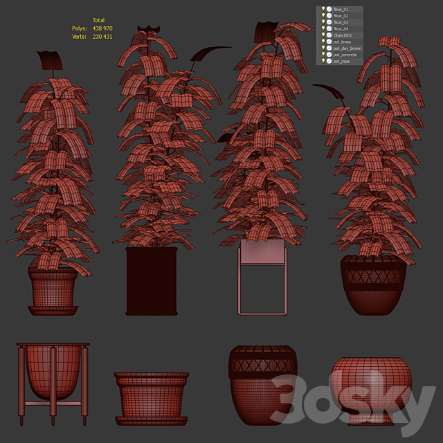 Ficuses in pots 3dskyfree
