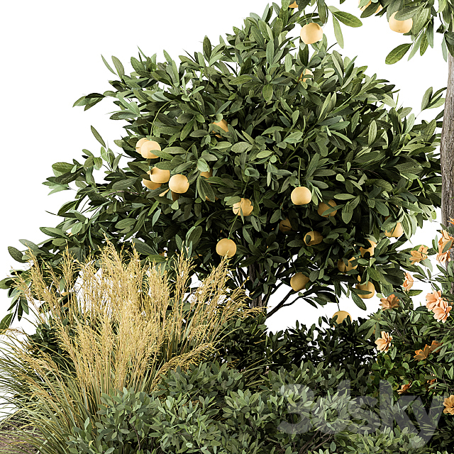 Garden set Lemon tree and Bush - Garden Set 26 3d