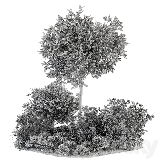 Garden set Lemon tree and Bush - Garden Set 26 3dskyfree