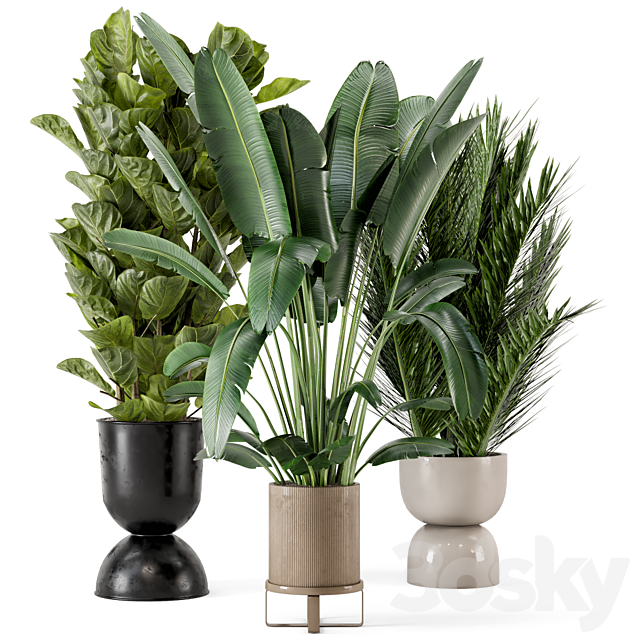 Indoor Plants in Ferm Living Bau Pot Large – Set 273 3DSMax File - thumbnail 1