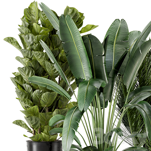 Indoor Plants in Ferm Living Bau Pot Large – Set 273 3DSMax File - thumbnail 2