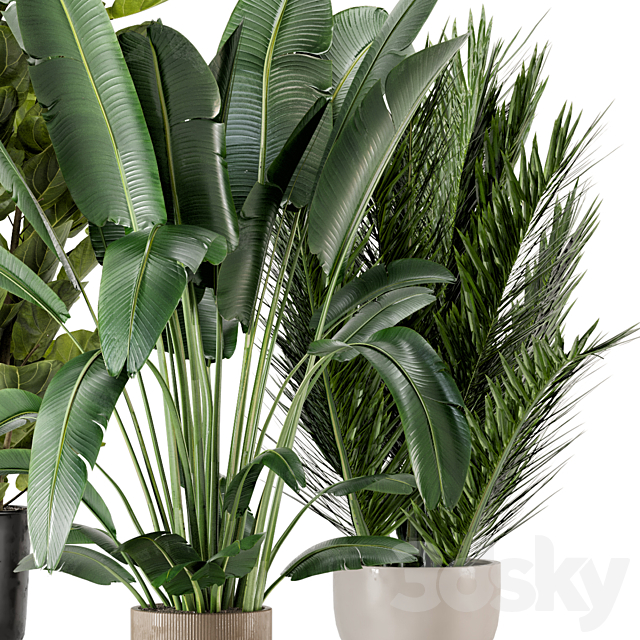 Indoor Plants in Ferm Living Bau Pot Large – Set 273 3DSMax File - thumbnail 3