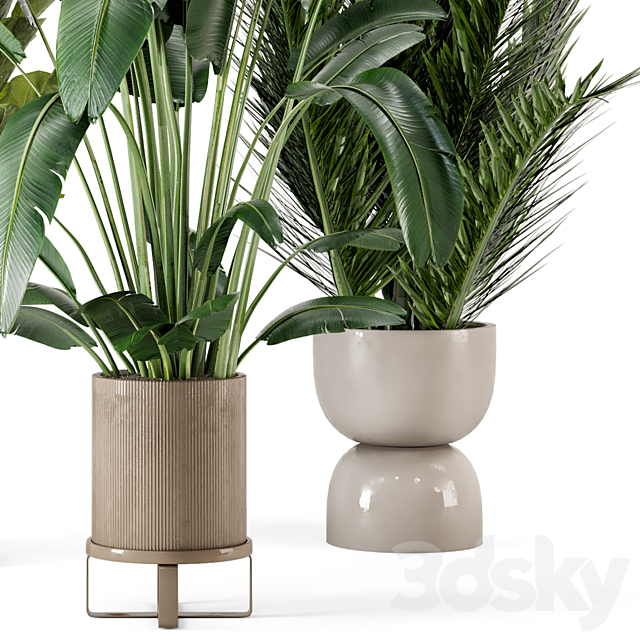 Indoor Plants in Ferm Living Bau Pot Large – Set 273 3DSMax File - thumbnail 5