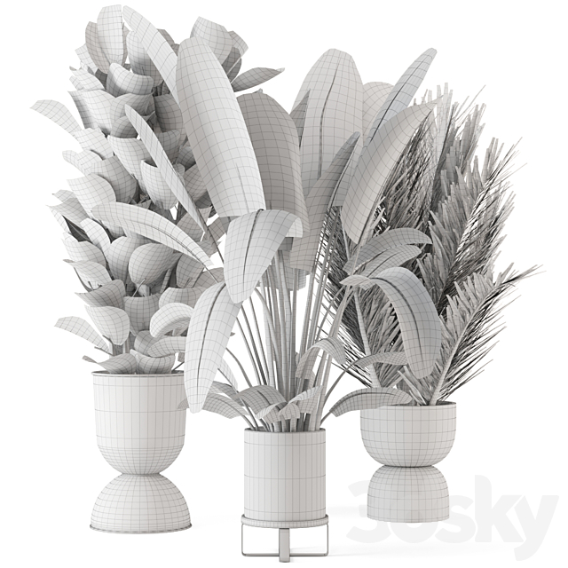 Indoor Plants in Ferm Living Bau Pot Large – Set 273 3DSMax File - thumbnail 6
