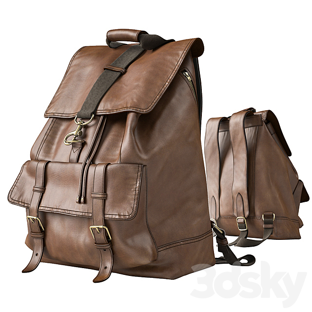 Backpack Coach 3DSMax File - thumbnail 1
