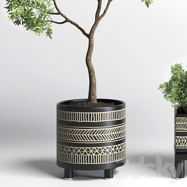 Collection Indoor plant 132 vase handmade pottery plant tree pot 3DSMax File - thumbnail 2