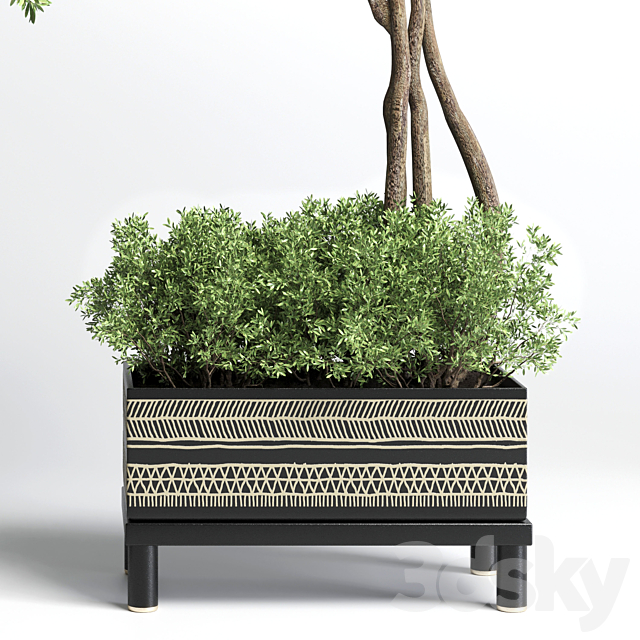 Collection Indoor plant 132 vase handmade pottery plant tree pot 3DSMax File - thumbnail 4