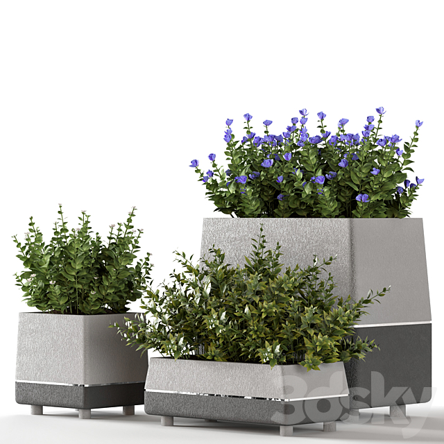 Outdoor-bushes in concrete pots 3DSMax File - thumbnail 2
