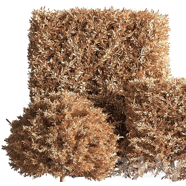 push09_vray 3dsky