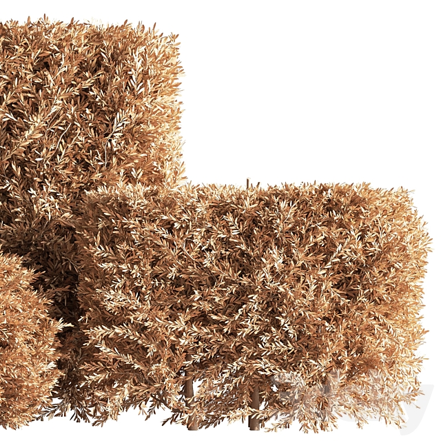 push09_vray 3dskyfree