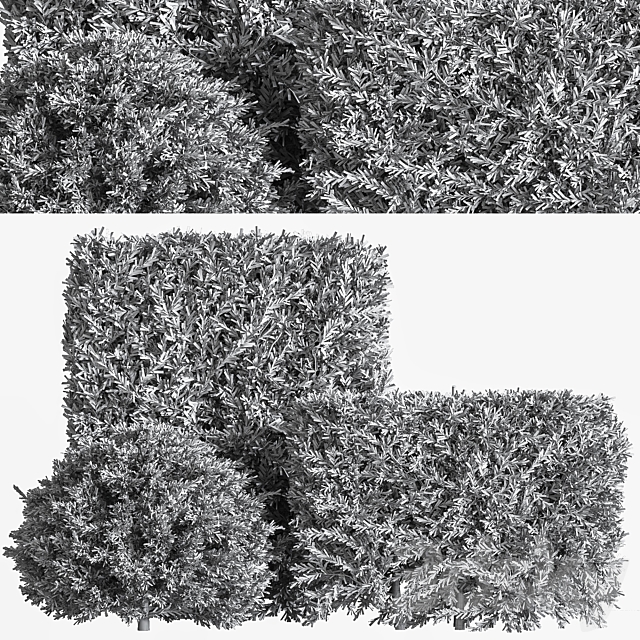 push09_vray 3d Download