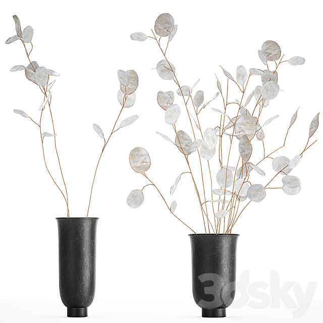 A bouquet of dried flowers in a black vase with branches of a dry Lunnik. 178. 3DSMax File - thumbnail 1