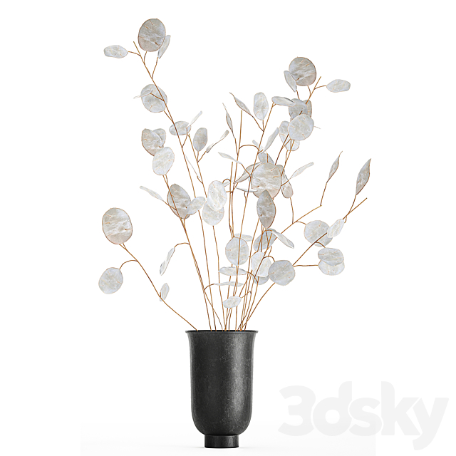 A bouquet of dried flowers in a black vase with branches of a dry Lunnik. 178. 3DSMax File - thumbnail 4