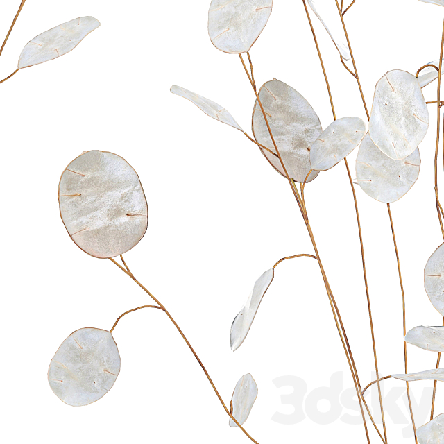 A bouquet of dried flowers in a black vase with branches of a dry Lunnik. 178. 3DSMax File - thumbnail 5