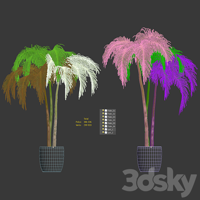 Palms in tubs. 6 models 3dsky