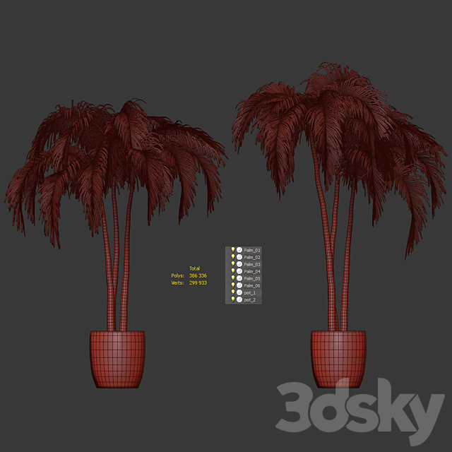 Palms in tubs. 6 models 3dmodel