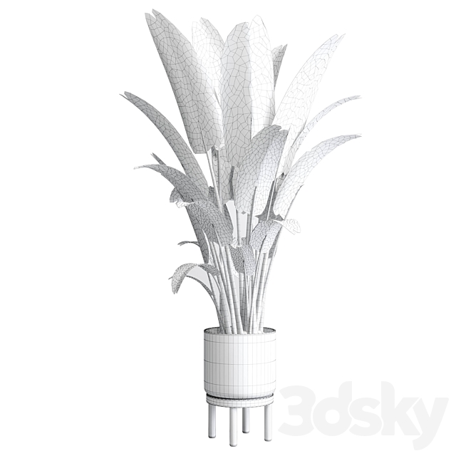 Indoor plant 137 vase wood pot plant ravenala 3DSMax File - thumbnail 2
