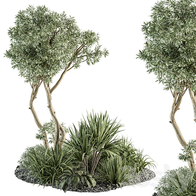 Needle tree and Bush – Outdoor Garden Set 305 3DSMax File - thumbnail 1