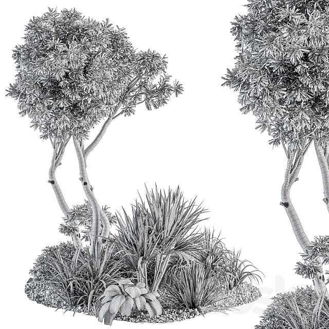 Needle tree and Bush – Outdoor Garden Set 305 3DSMax File - thumbnail 5