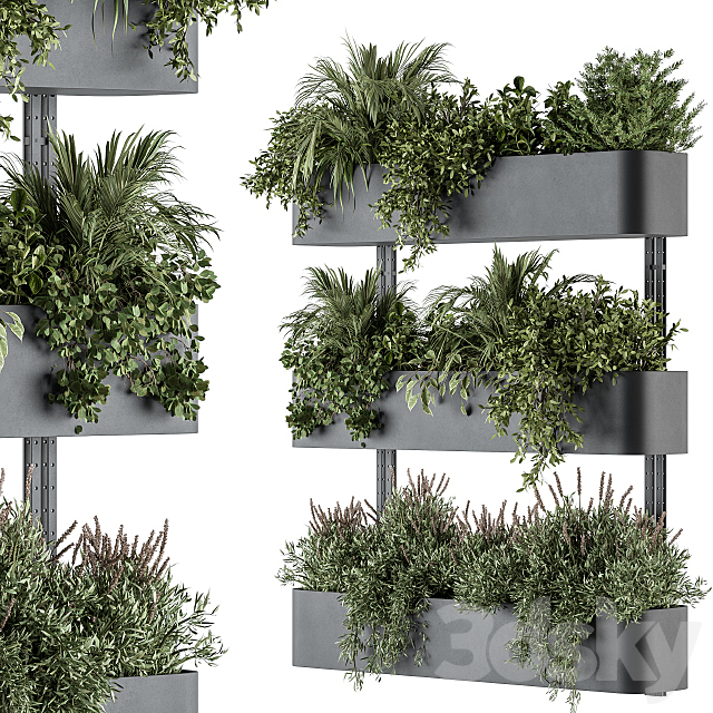 Indoor Plant Set 306 – Box Stand with Hanging Plants 3DSMax File - thumbnail 1