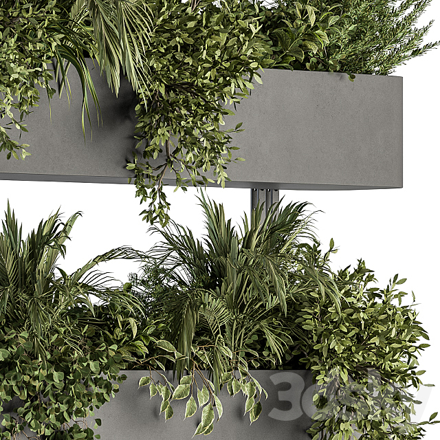 Indoor Plant Set 306 – Box Stand with Hanging Plants 3DSMax File - thumbnail 3