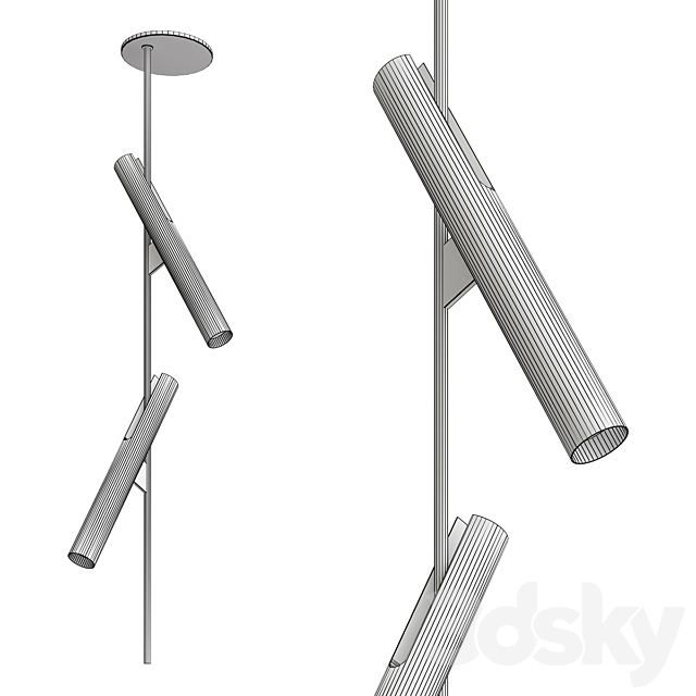 3d