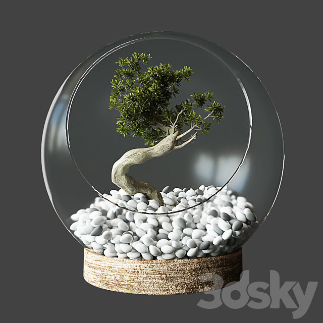 Little Tree In Glass Globe 3DSMax File - thumbnail 1