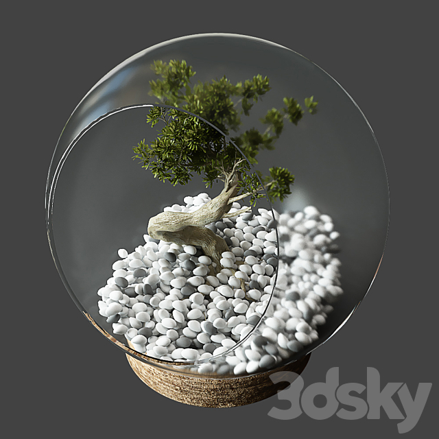 Little Tree In Glass Globe 3DSMax File - thumbnail 2
