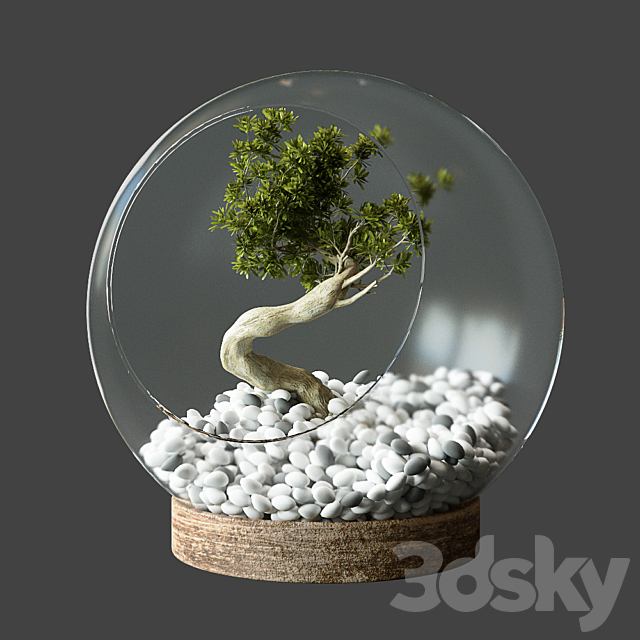 Little Tree In Glass Globe 3DSMax File - thumbnail 4