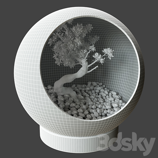 Little Tree In Glass Globe 3DSMax File - thumbnail 5