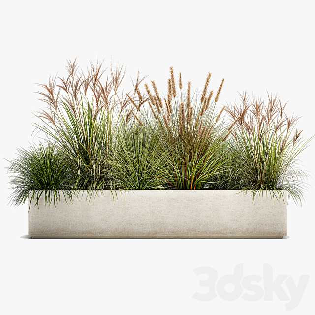 Collection of plants in a pot Pampas grass. reeds. flowerbed. landscaping. bushes. Set 1074. 3DSMax File - thumbnail 6