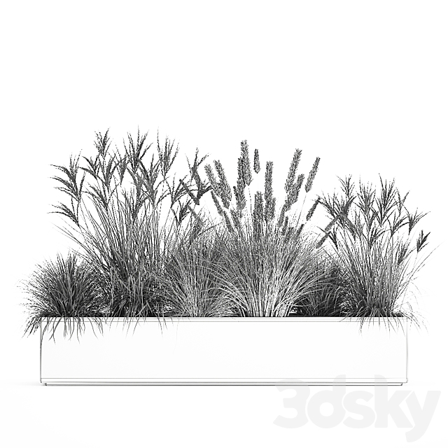 Collection of plants in a pot Pampas grass. reeds. flowerbed. landscaping. bushes. Set 1074. 3DSMax File - thumbnail 7