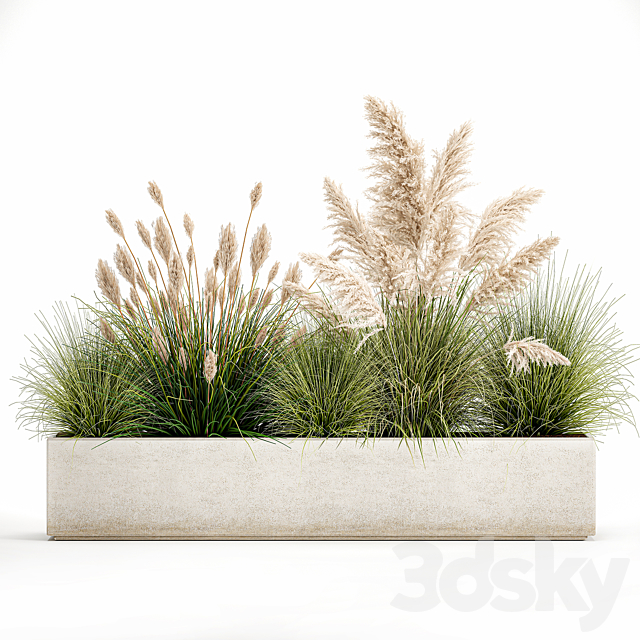 Collection of plants in a pot Pampas grass. reeds. bushes. landscape design. white. flowerbed. Set 1077 3DSMax File - thumbnail 6
